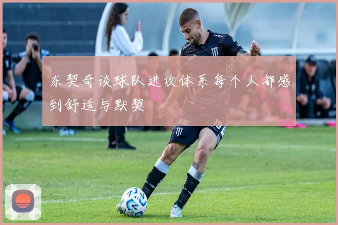 东契奇谈球队进攻体系每个人都感到舒适与默契