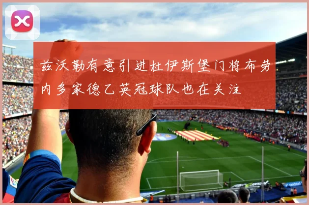 兹沃勒有意引进杜伊斯堡门将布劳内多家德乙英冠球队也在关注