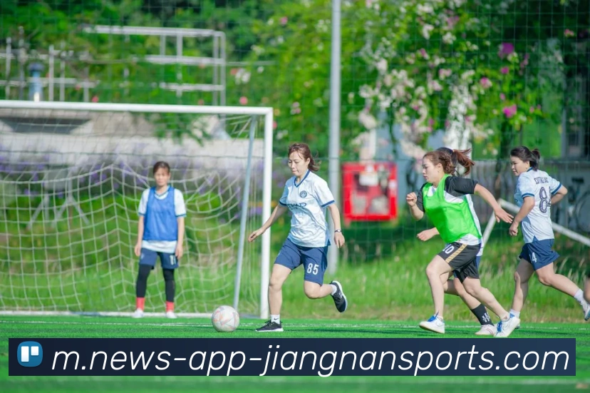 江南体育平台生态图